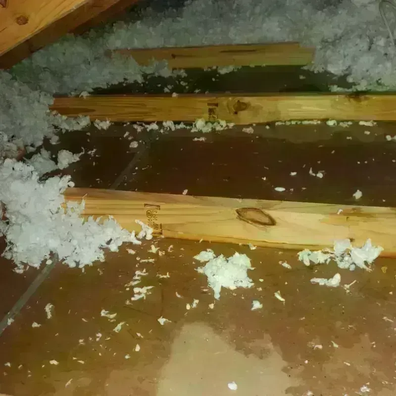 Attic Water Damage in Green Lake County, WI