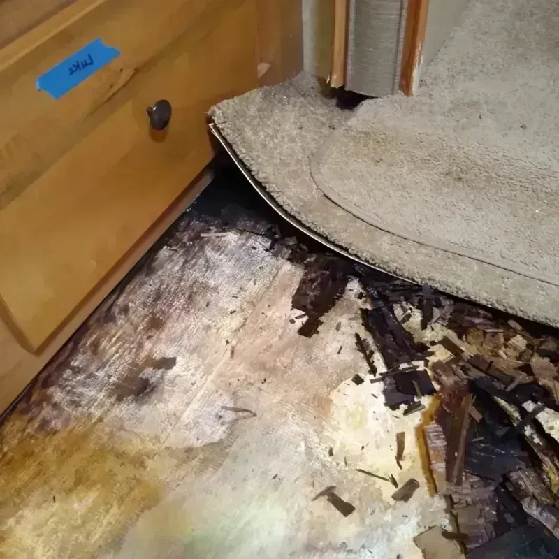 Wood Floor Water Damage in Green Lake County, WI